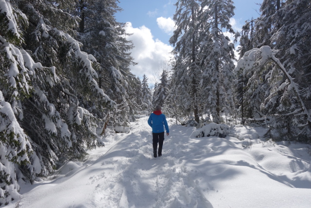 Wandern im winterlichen Schwarzwald